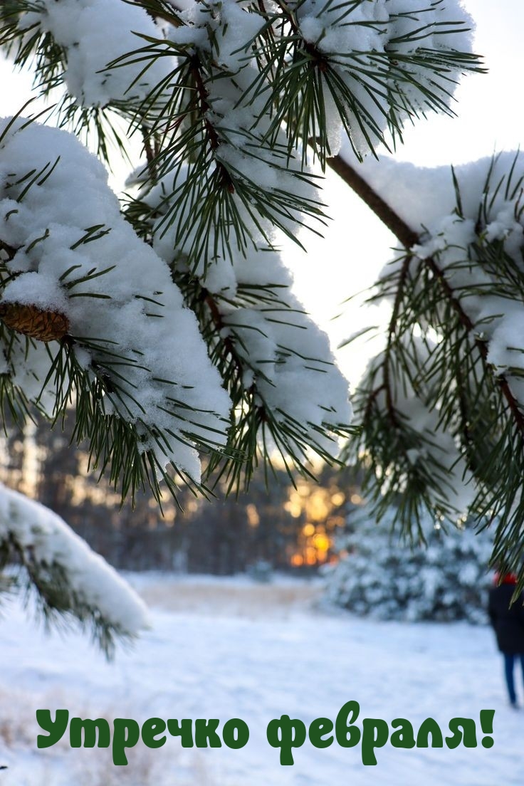 Утречко февраля!