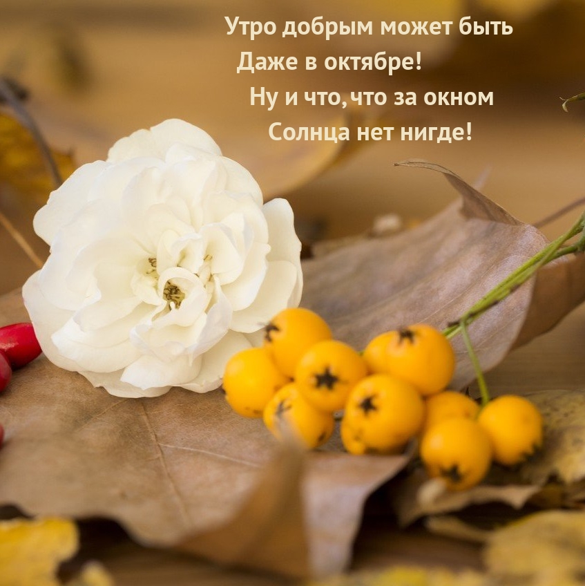 Утро добрым может быть даже в октябре!