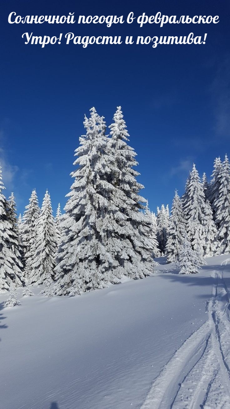 Солнечной погоды в февральское Утро! Радости и позитива! 