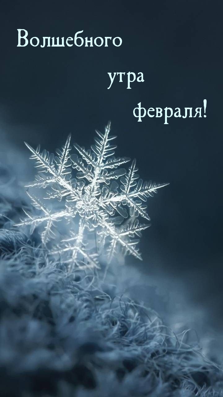 Волшебного утра февраля! 