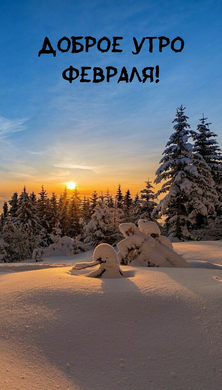 Доброе утро февраля!