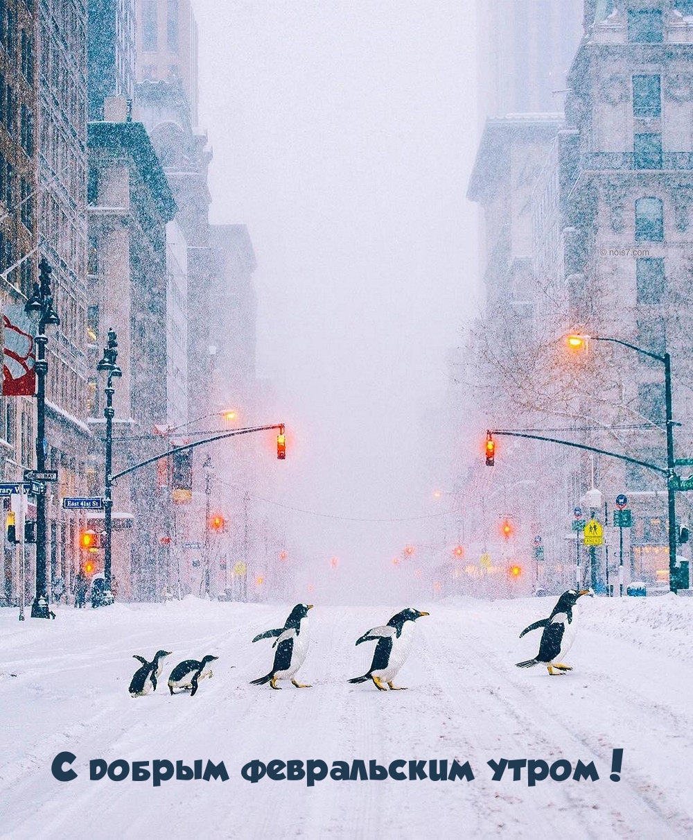 С добрым февральским утром!