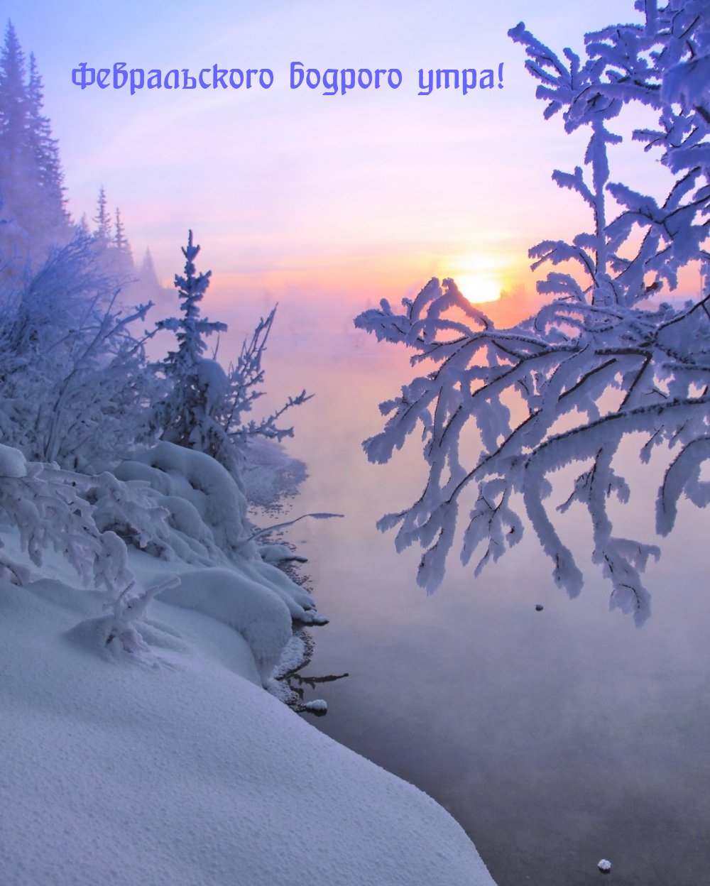 Февральского бодрого утра!