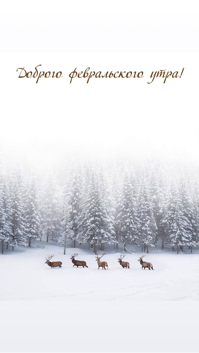 Доброго февральского утра!