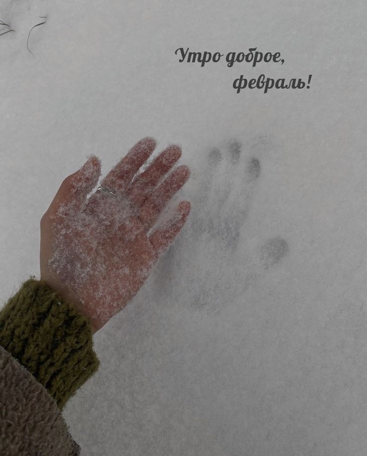 Утро доброе, февраль!