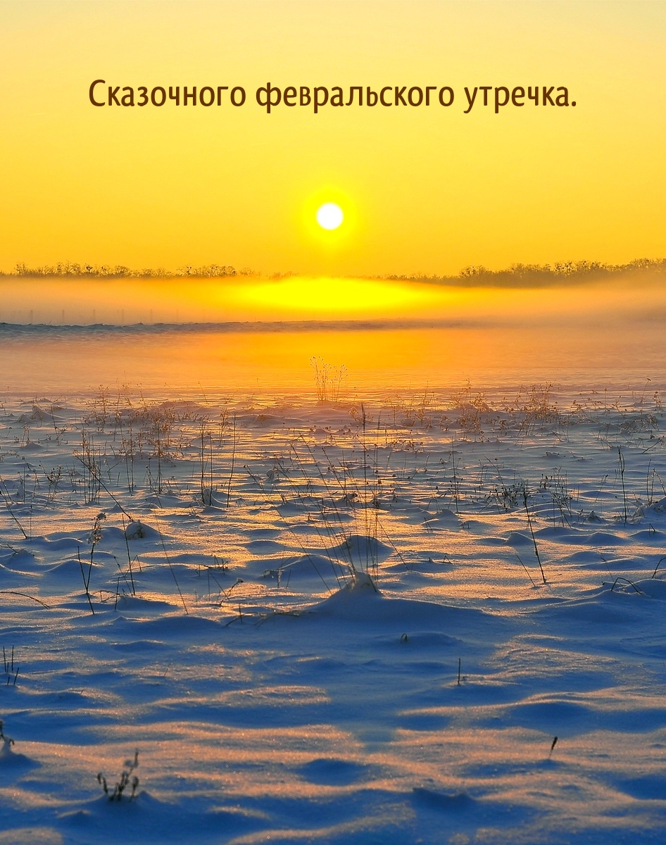Сказочного февральского утречка.