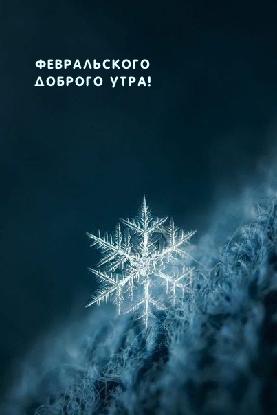 Февральского доброго утра!