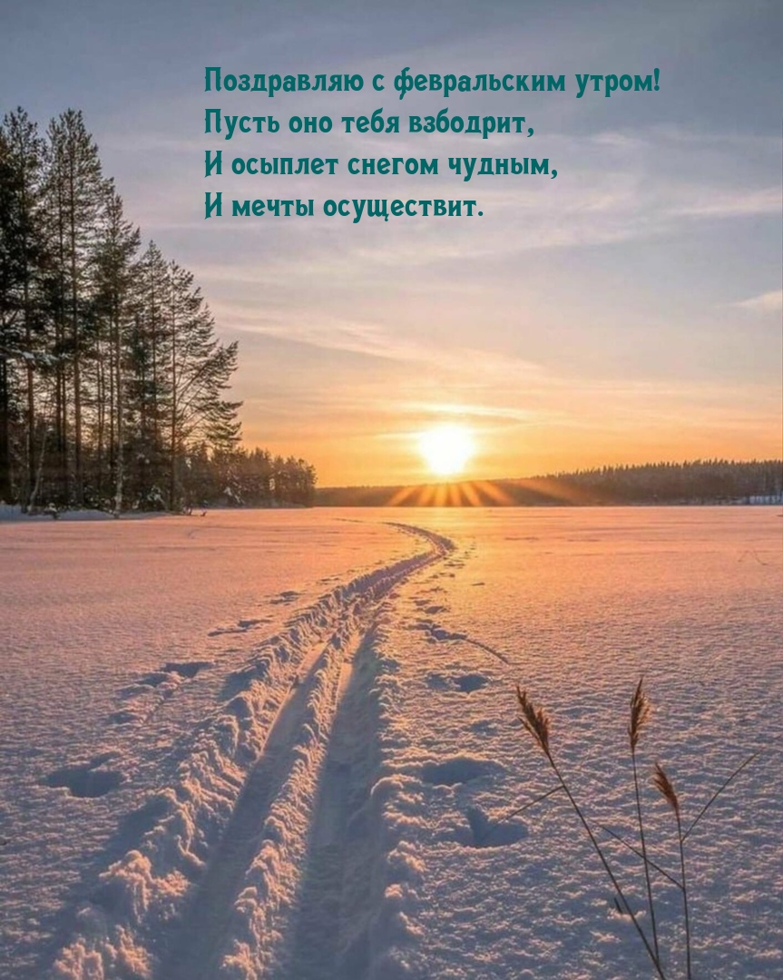 С февральским утром! Пусть оно тебя взбодрит