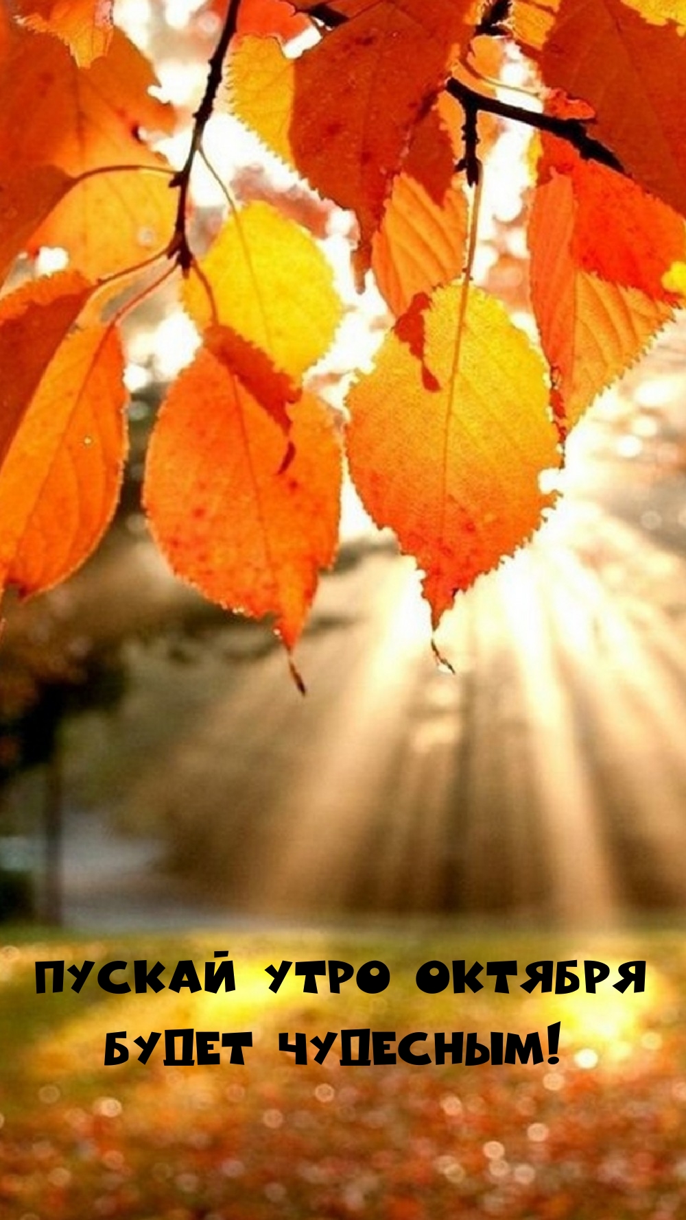 Пускай утро октября будет чудесным!