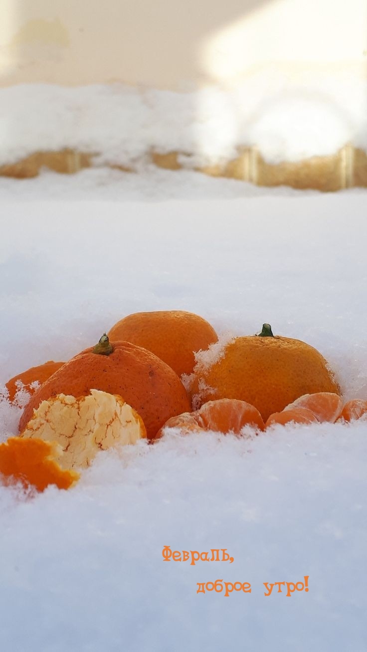 Февраль, доброе утро!
