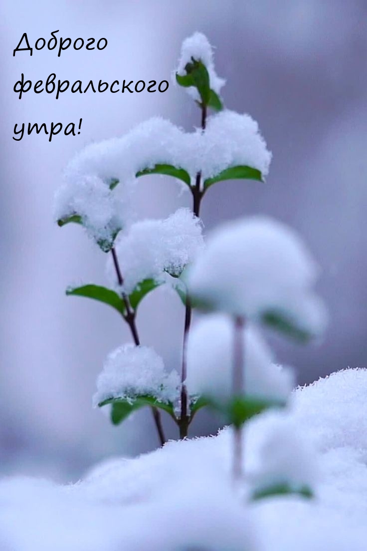 Доброго февральского утра! 