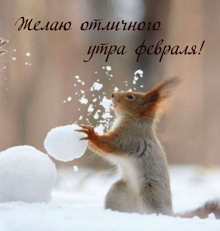 Желаю отличного утра февраля!
