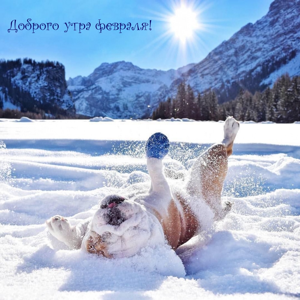 Доброго утра февраля!