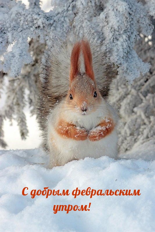 С добрым февральским утром! 