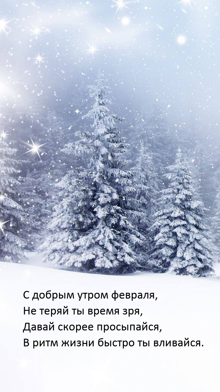 С добрым утром февраля, не теряй ты время зря