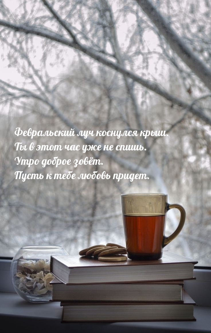 Февральский луч коснулся крыш. Ты в этот час уже не спишь.