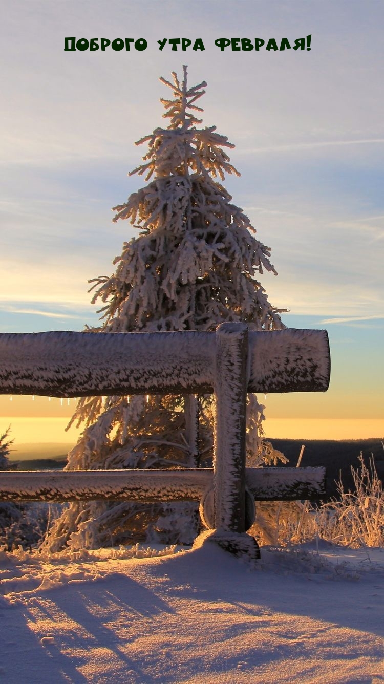 Доброго утра февраля!