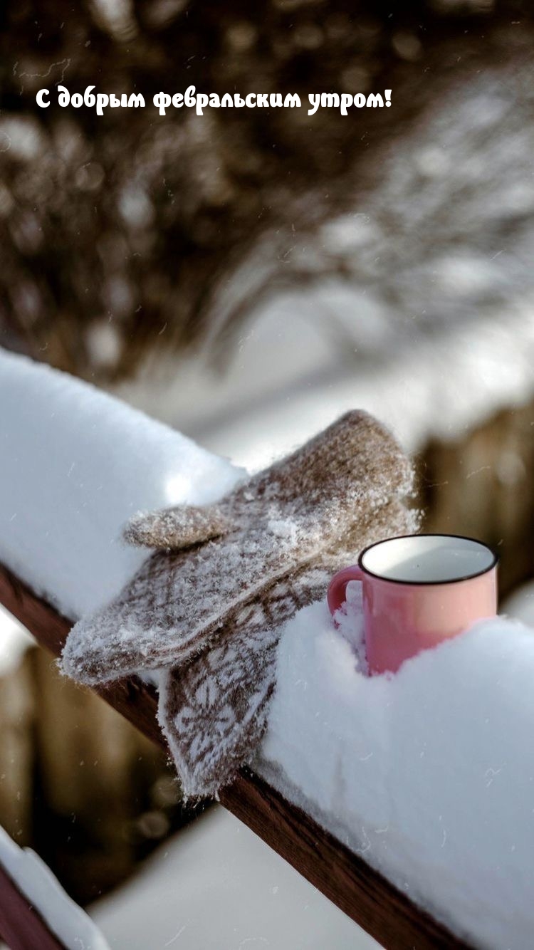 С добрым февральским утром!