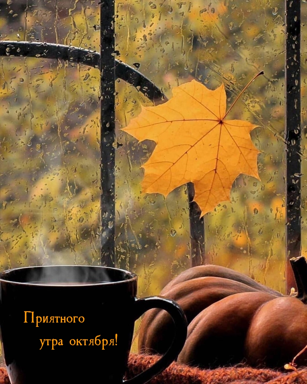 Приятного утра октября!