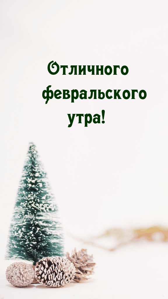 Отличного февральского утра!