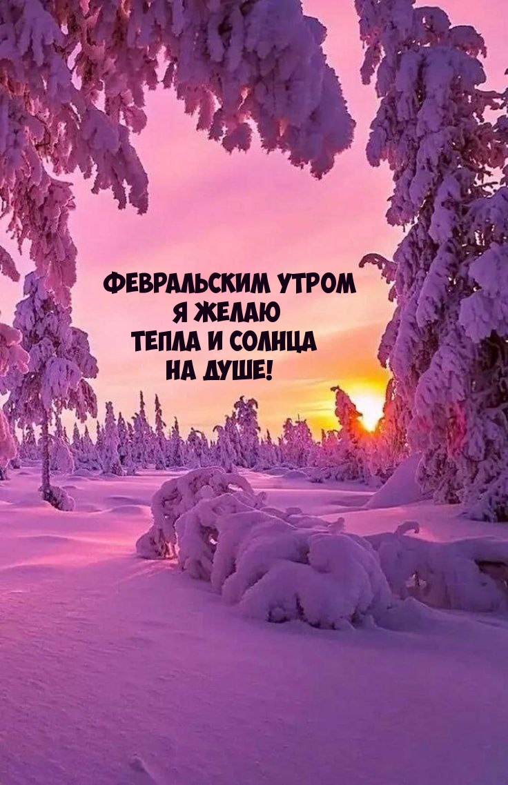 Февральским утром я желаю тепла и солнца на душе!