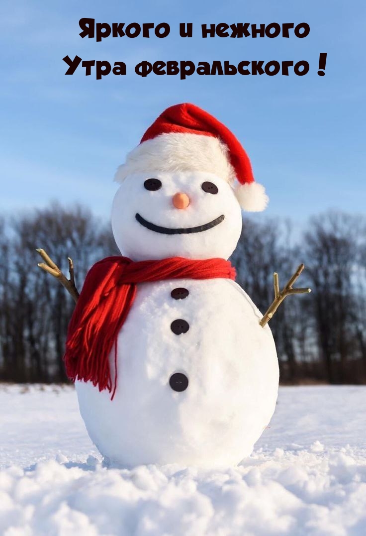 Яркого и нежного утра февральского!