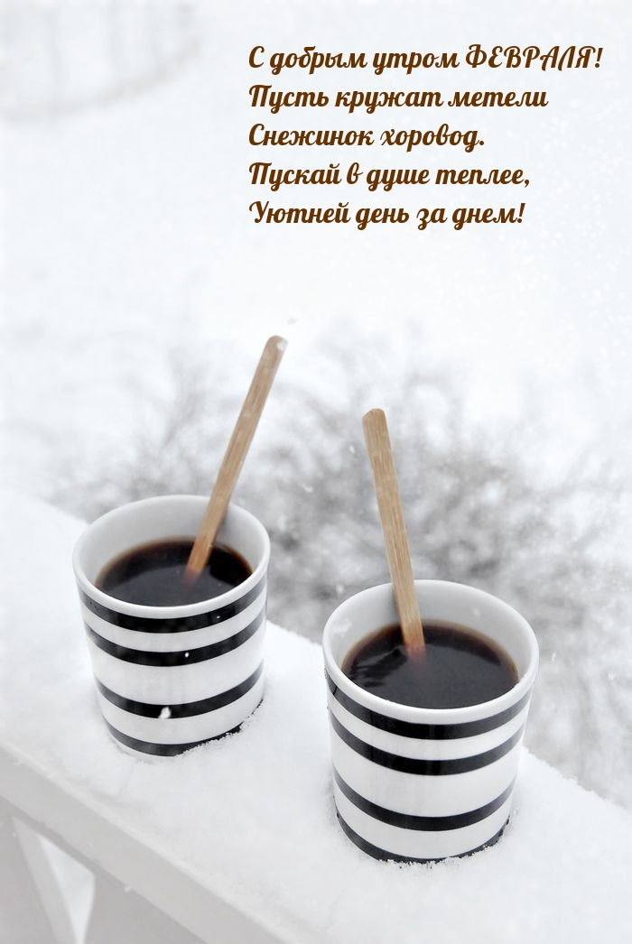 С добрым утром ФЕВРАЛЯ! Пускай в душе теплее