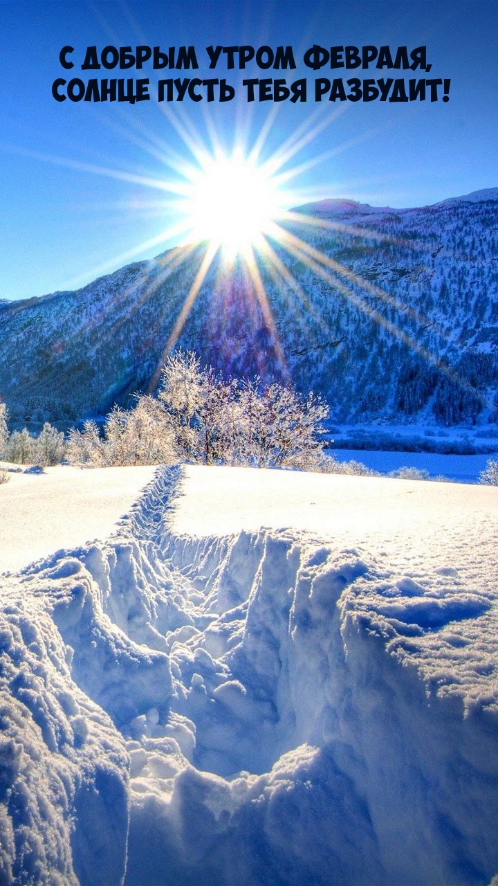 С добрым утром февраля, Солнце пусть тебя разбудит!