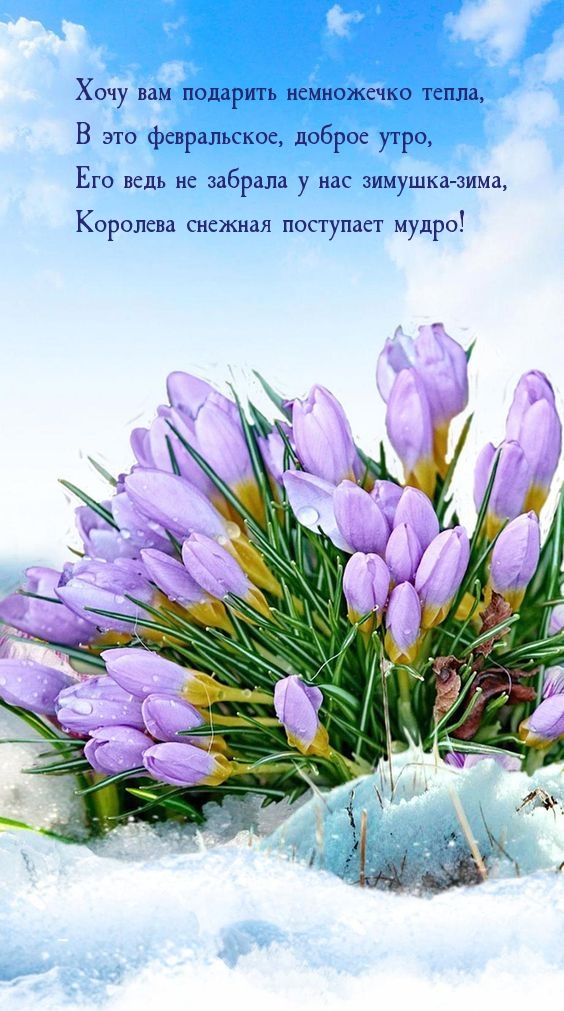 Хочу вам подарить немножечко тепла, В это февральское утро
