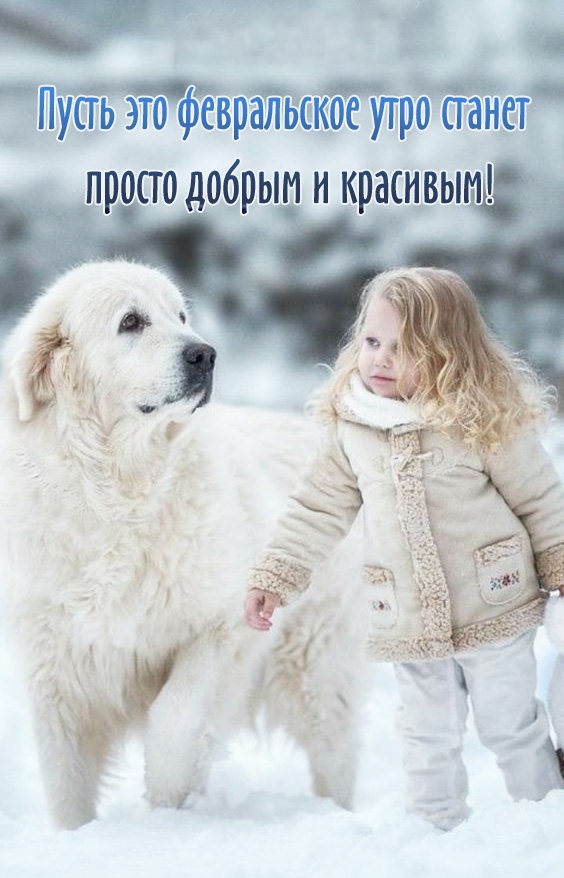 Пусть это февральское утро станет просто добрым и красивым!