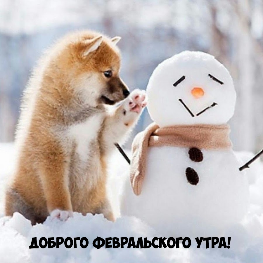 Доброго февральского утра!