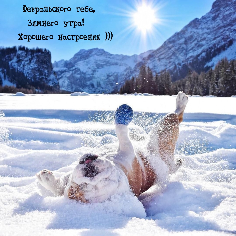 Февральского тебе, зимнего утра! Хорошего настроения