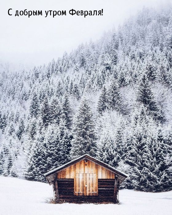 С добрым утром Февраля!