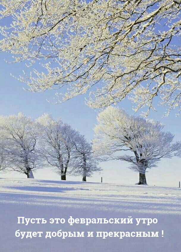 Пусть это февральский утро будет добрым и прекрасным!