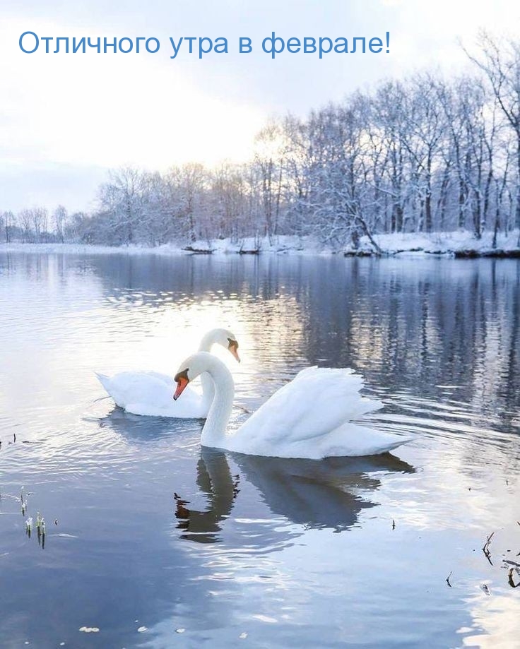 Отличного утра в феврале!