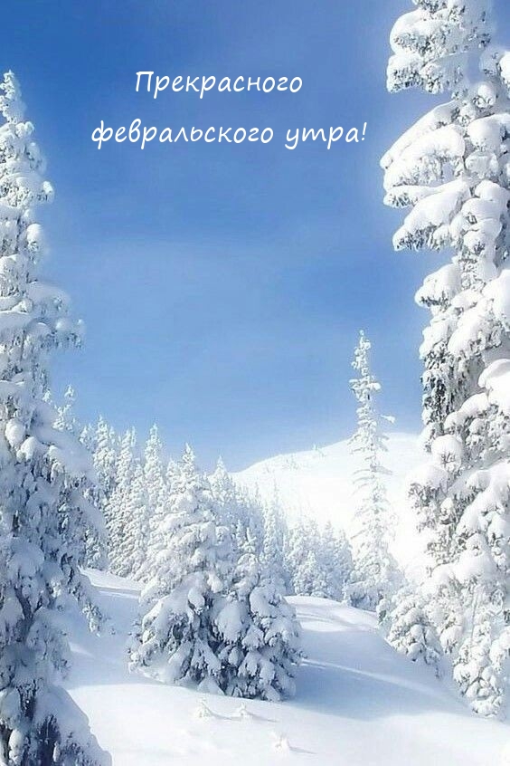 Прекрасного февральского утра!