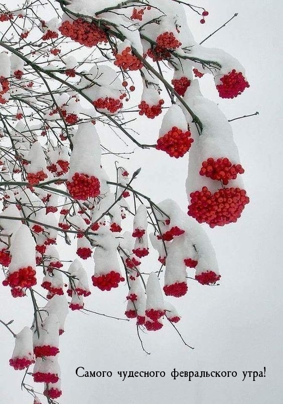 Самого чудесного февральского утра!