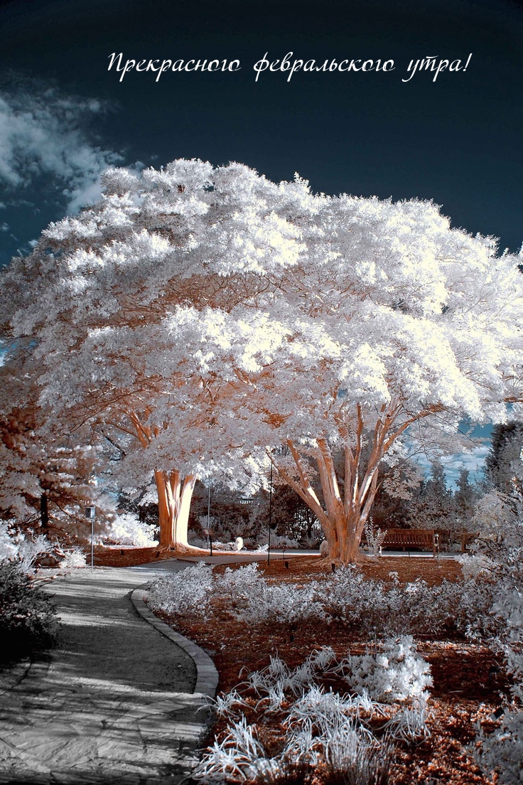 Прекрасного февральского утра!