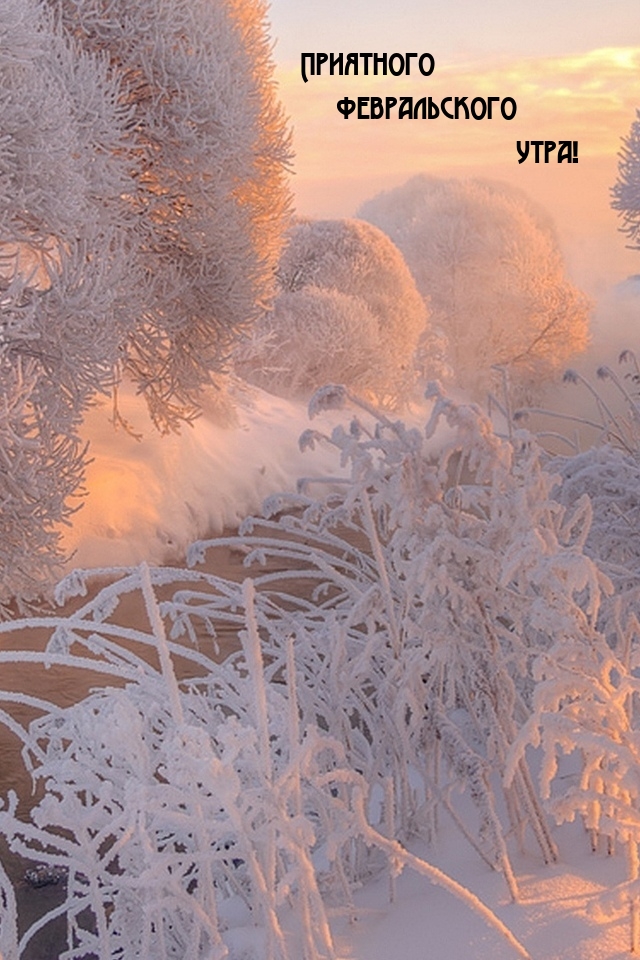 Приятного февральского утра!