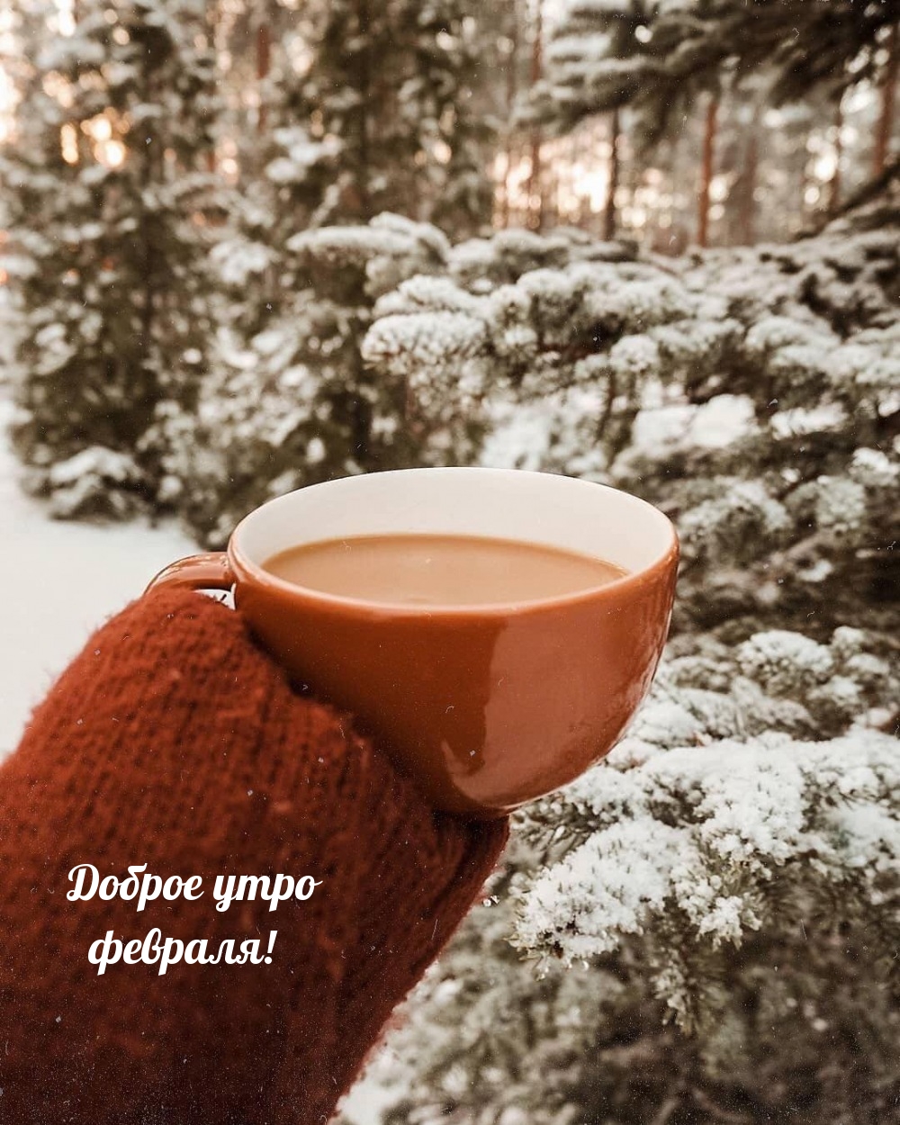 Доброе утро февраля!