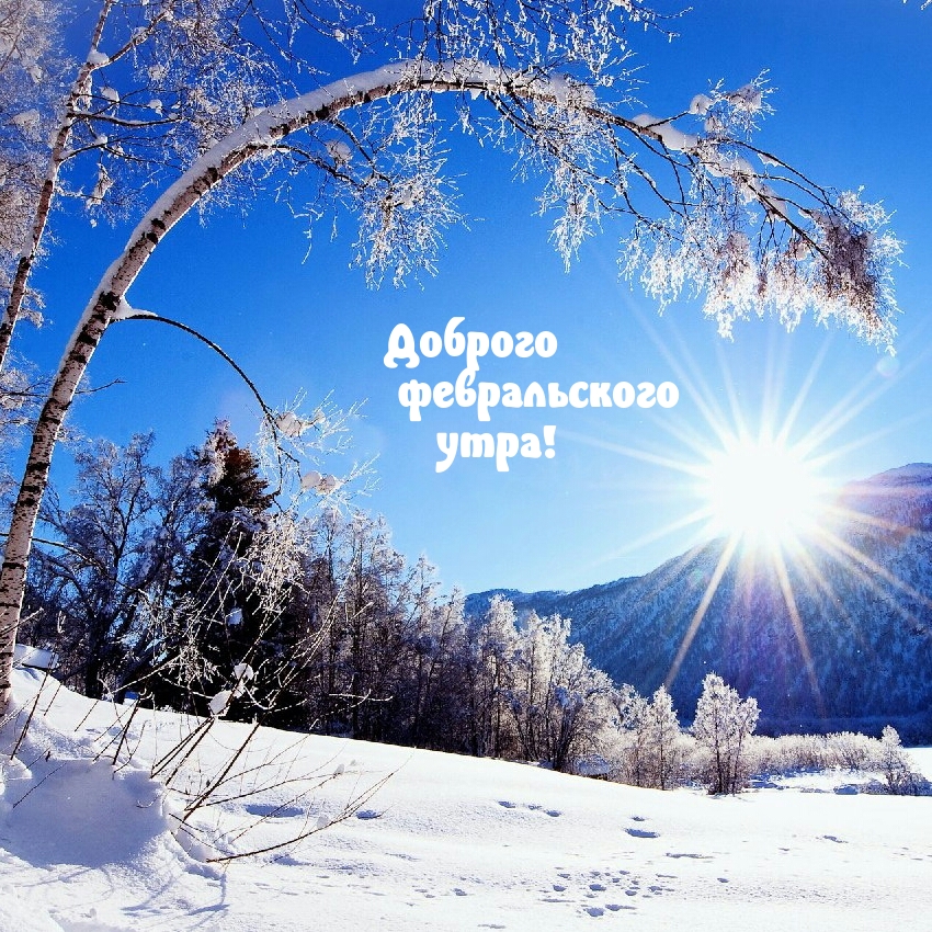 Доброго февральского утра!