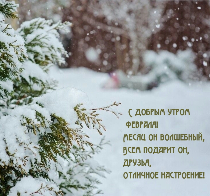 С добрым утром февраля! Месяц он волшебный