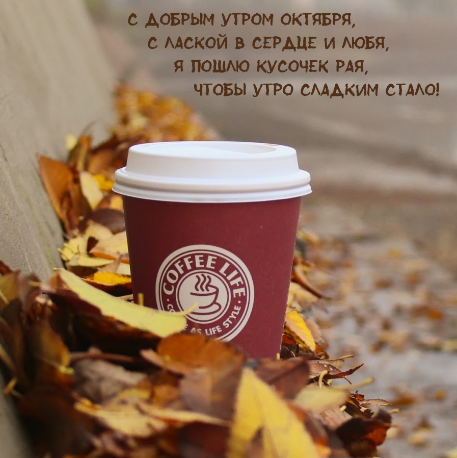 С добрым утром октября, с лаской в сердце и любя