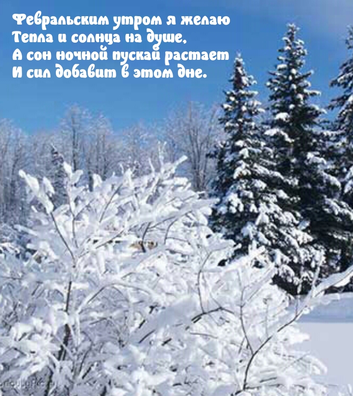 Февральским утром я желаю тепла и солнца на душе