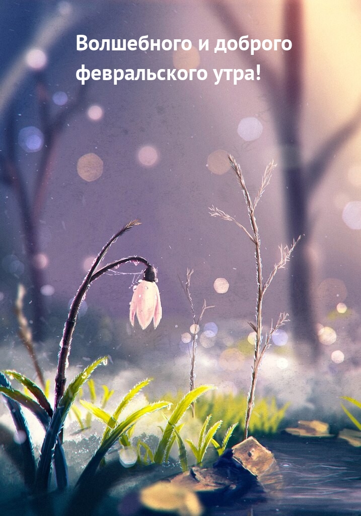 Волшебного и доброго февральского утра!