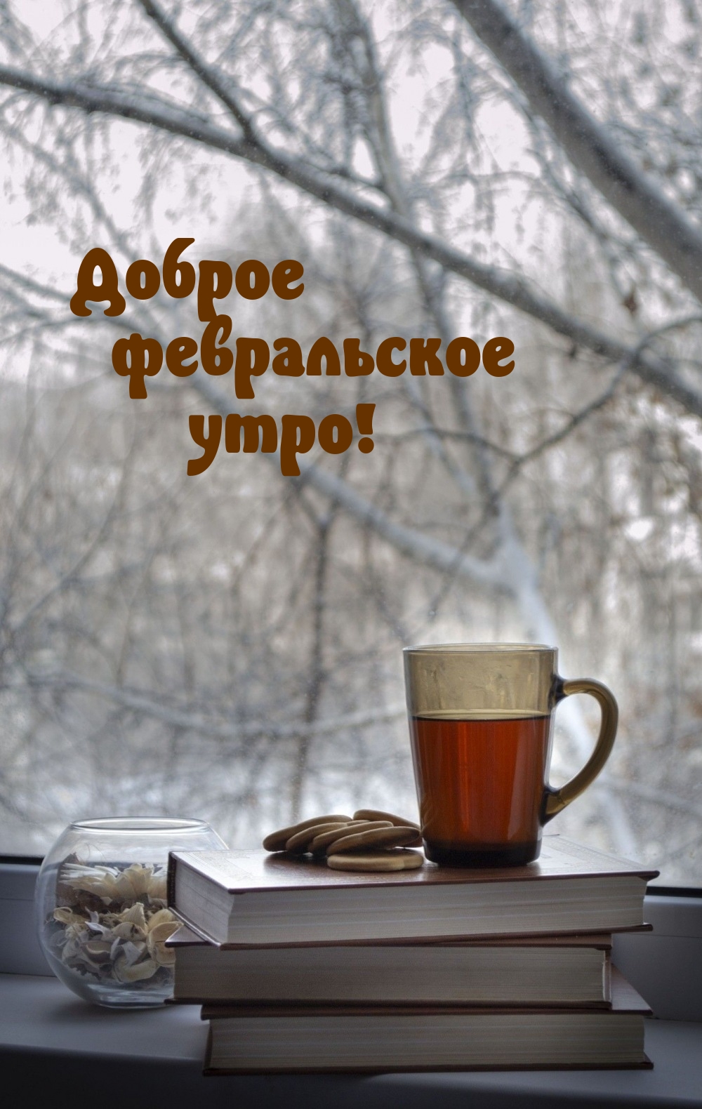 Доброе февральское утро!