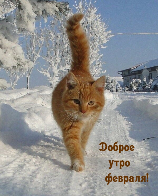 Доброе утро февраля!