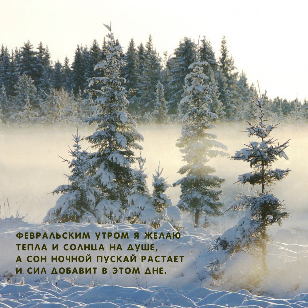 Февральским утром я желаю тепла и солнца на душе
