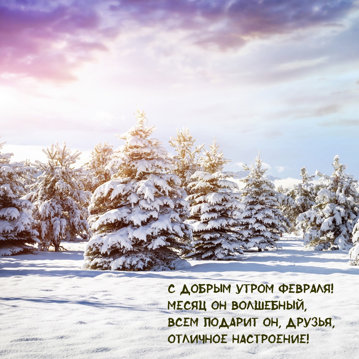 С добрым утром февраля! Месяц он волшебный