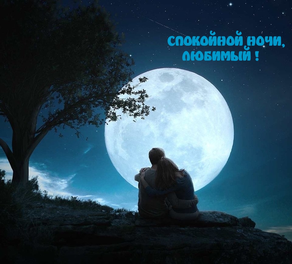 Спокойной ночи, любимый! 
